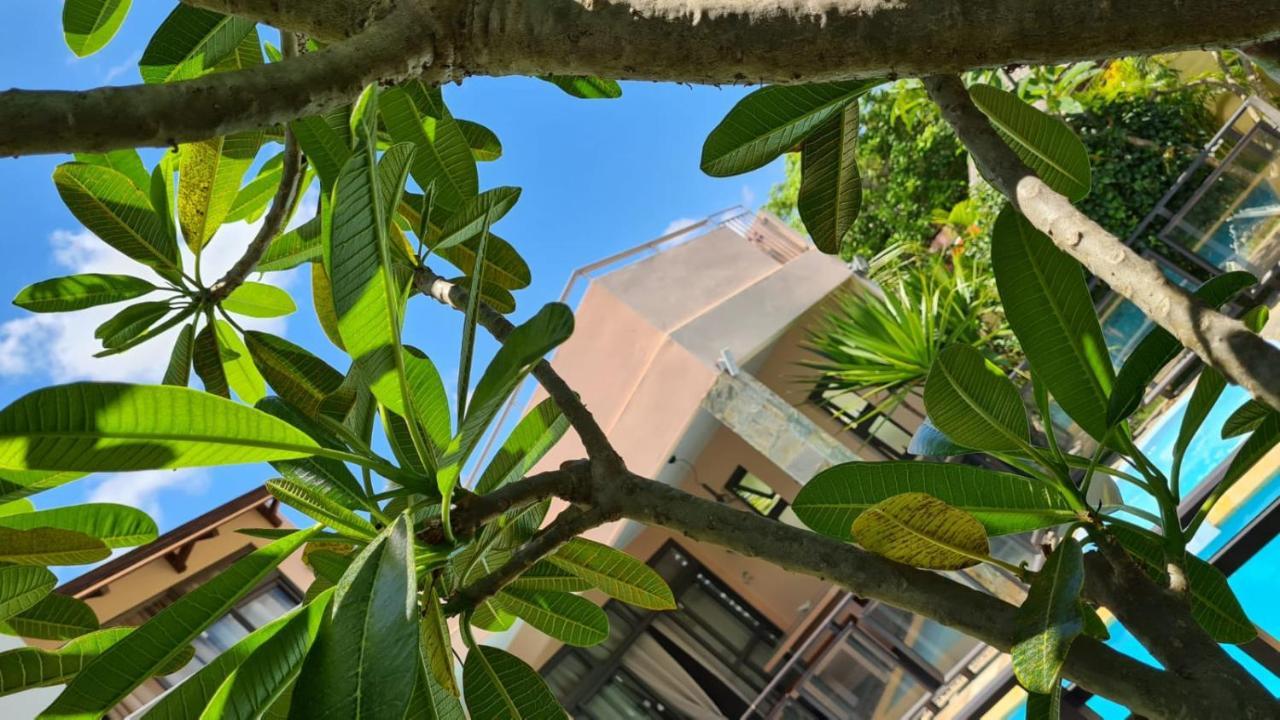 Villa Centre Grand Bay Buitenkant foto